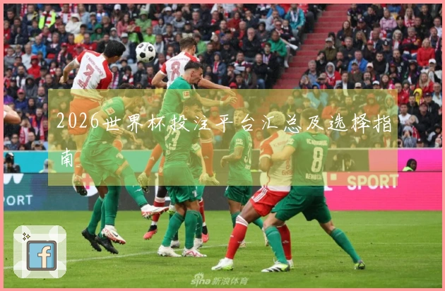 2026世界杯投注平台汇总及选择指南