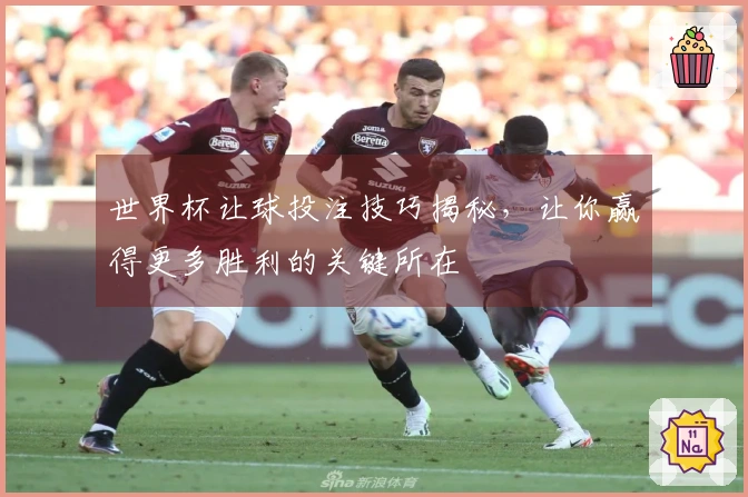 世界杯让球投注技巧揭秘，让你赢得更多胜利的关键所在