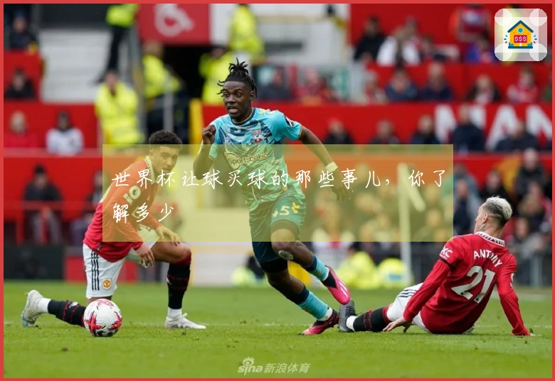 世界杯让球买球的那些事儿，你了解多少