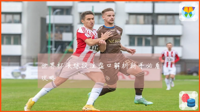 世界杯滚球投注盘口解析新手必看攻略