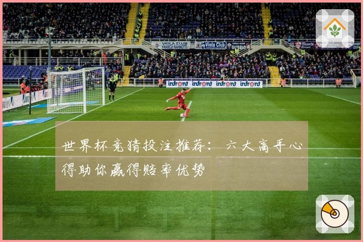 世界杯竞猜投注推荐：六大高手心得助你赢得赔率优势