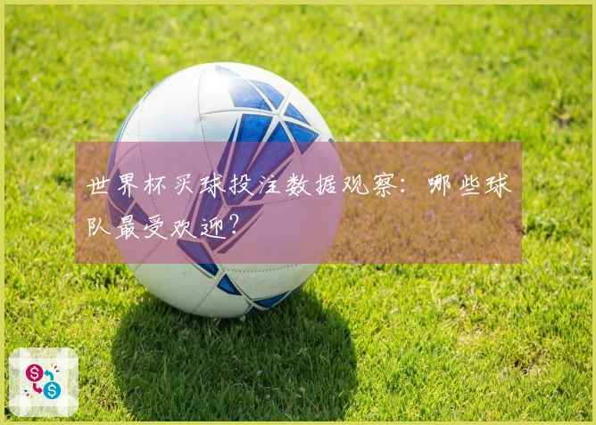 世界杯买球投注数据观察：哪些球队最受欢迎？
